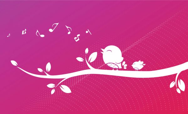 Image of a bird singing from a branch