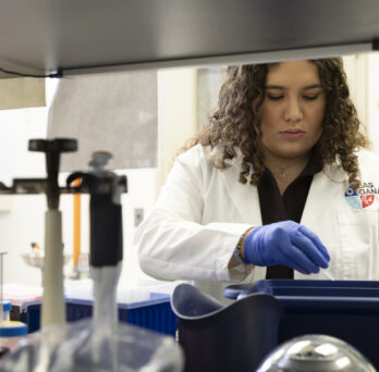 Scientist working in a laboratory. 