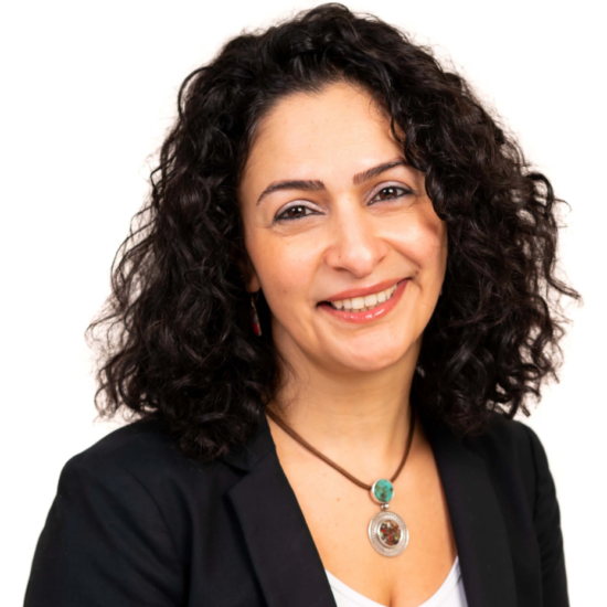 Emerging Awardee (2024)