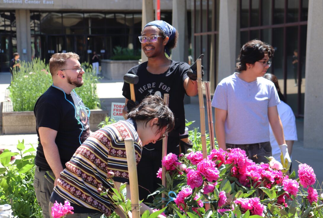 Student volunteers gather and plan their garden developments.